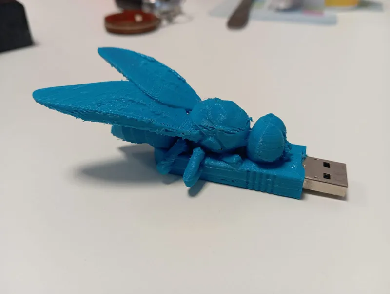 Pendrive case Fly