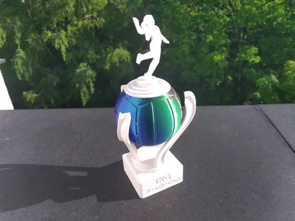https://makerworld.bblmw.com/makerworld/model/DSM00000000448212/design/2024-04-30_3362dfa9c66c2.jpg
