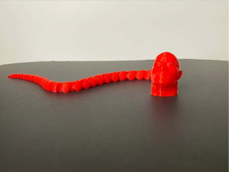 The rock Snake