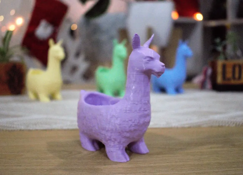 llama maceta