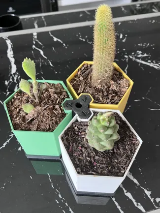 MACETAS EXAGONALES /  EXAGONAL POTS
