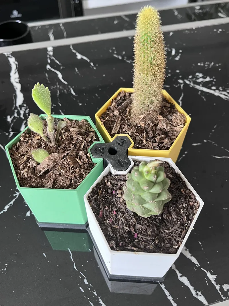MACETAS EXAGONALES /  EXAGONAL POTS