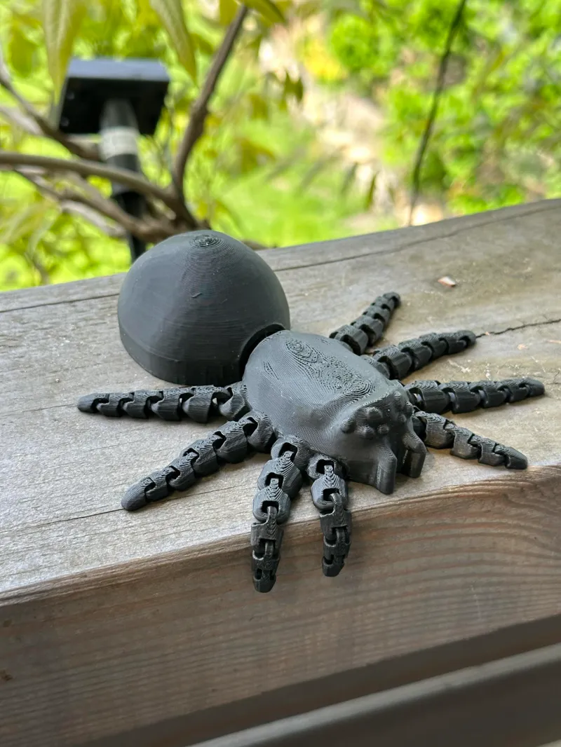 Flexi Spider