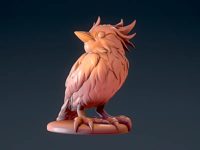 Bird