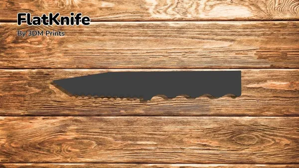 https://makerworld.bblmw.com/makerworld/model/DSM00000000453488/design/2024-05-05_npckus8kcn0x.jpg