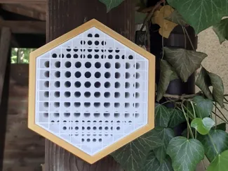 Mason Bee Hotel