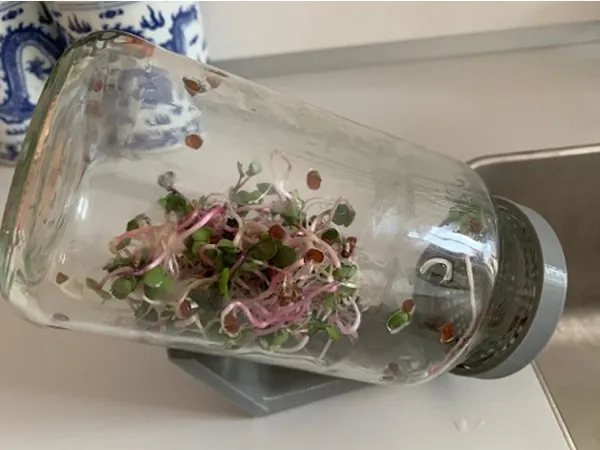 https://makerworld.bblmw.com/makerworld/model/DSM00000000454053/design/2024-05-05_y8cxh5tog3jg.jpg