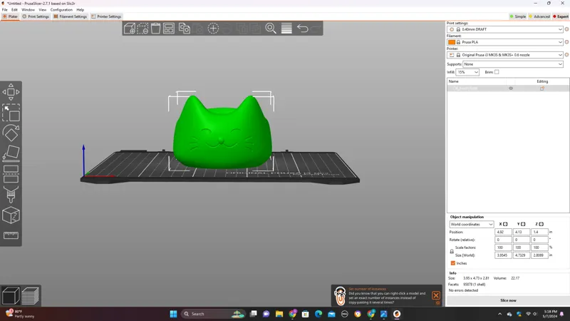 Cute cat bowl