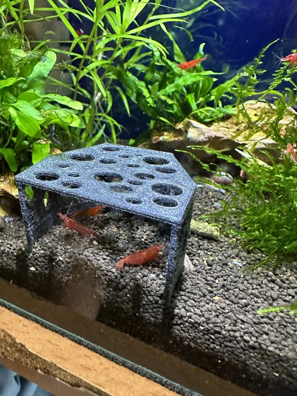 Aquarium shrimp, fish cave, home, house, shelter