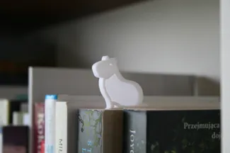 Capybara book mark