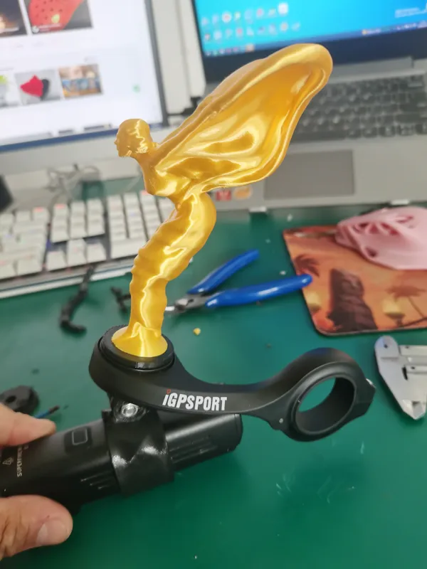 https://makerworld.bblmw.com/makerworld/model/DSM00000000458296/design/2024-05-09_a37f8a1f4d244.jpg