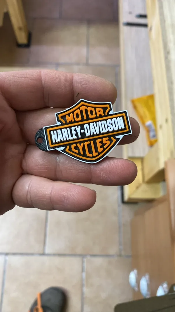 https://makerworld.bblmw.com/makerworld/model/DSM00000000458636/design/2024-05-09_d564a5de72d2e.jpg