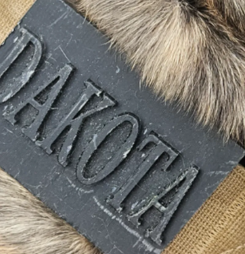 Dog Name Tags Kong Collars