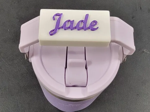https://makerworld.bblmw.com/makerworld/model/DSM00000000462725/design/2024-05-13_2388eda49eebb.jpg