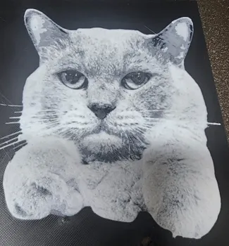 Momo the cat hueforge