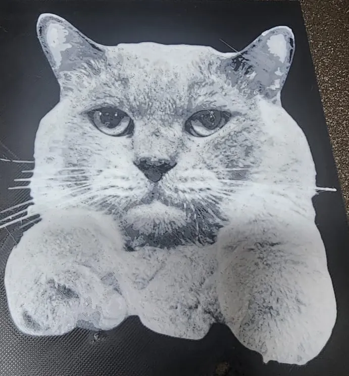 Momo the cat hueforge
