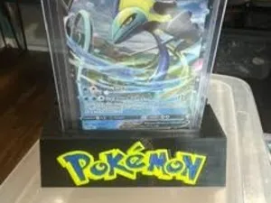Pokemon stand
