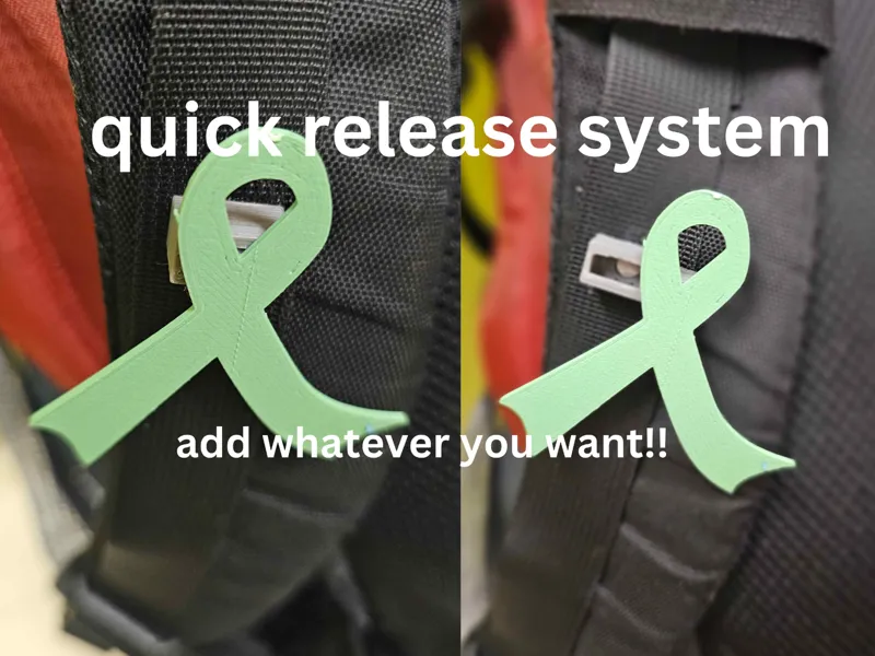 quick disconnect mount