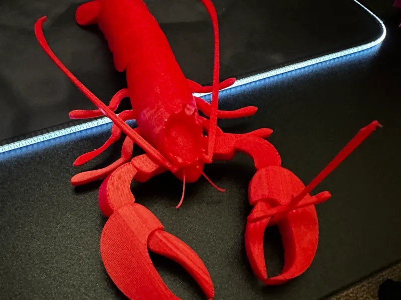 Larry the royal sword bearing lobster