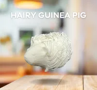 Figurine de cochon d'Inde poilu — photo 1