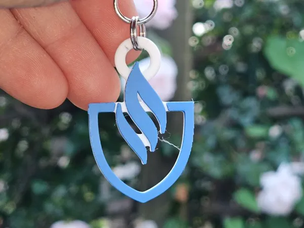 https://makerworld.bblmw.com/makerworld/model/DSM00000000469203/design/2024-05-19_68ccac7620463.jpg
