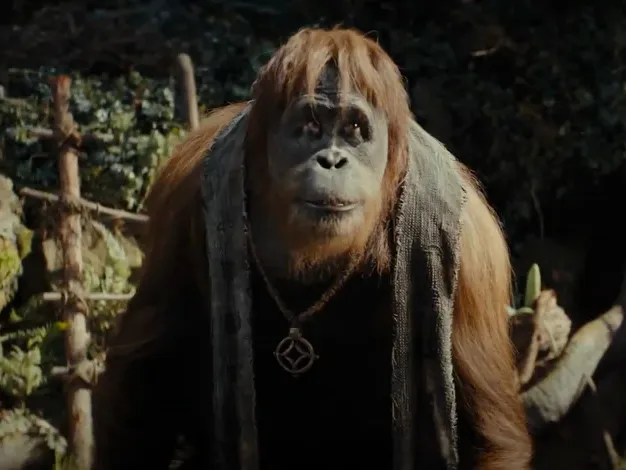 The Window - Planet of the Apes