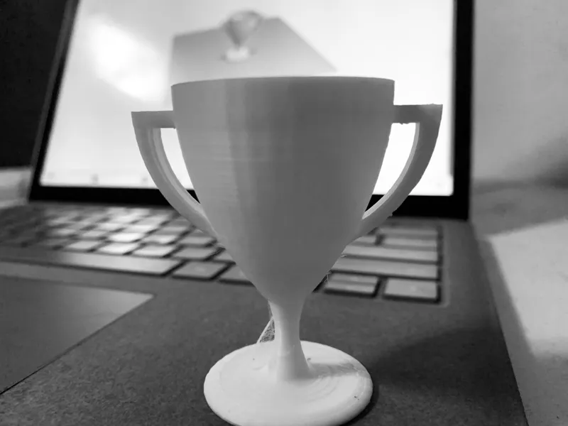 Winners trophy