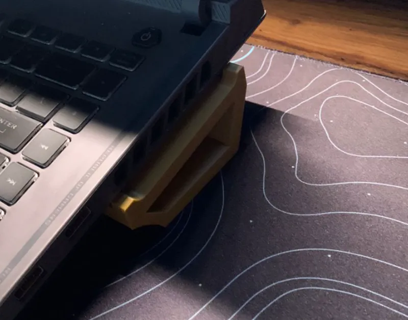 Stand Laptops