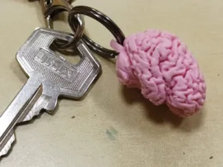 Anatomically correct brain keychain