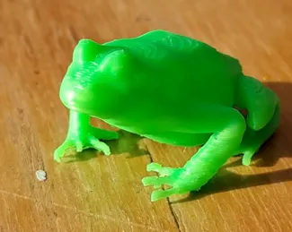 Frog