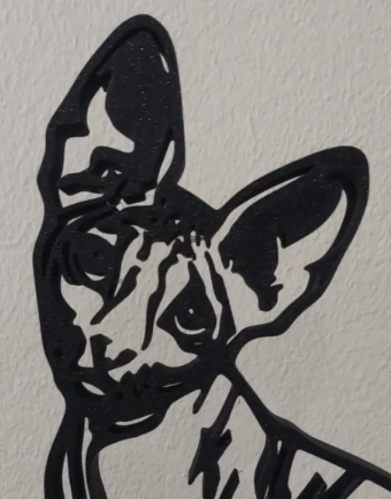 gato esfinge