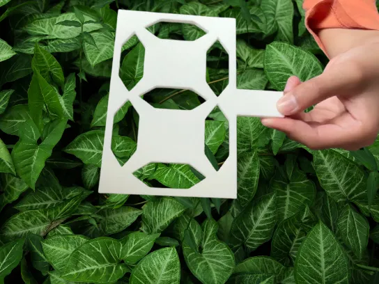 https://makerworld.bblmw.com/makerworld/model/DSM00000000474726/design/2024-05-25_7613895097732.png