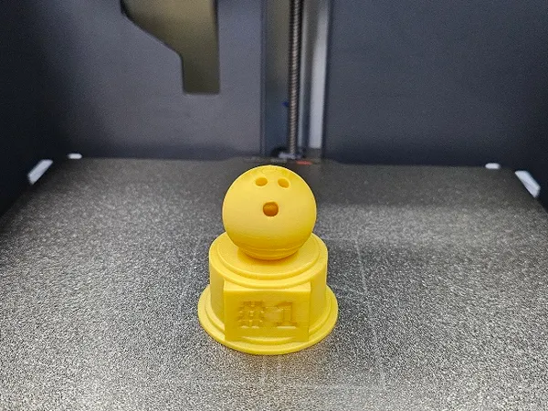 https://makerworld.bblmw.com/makerworld/model/DSM00000000479054/design/2024-05-29_dcf11577761b6.jpg