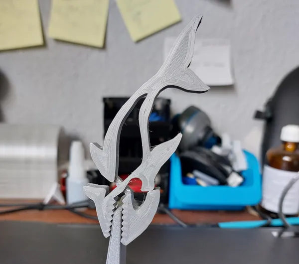 https://makerworld.bblmw.com/makerworld/model/DSM00000000481463/design/2024-06-01_c06ecf7ac6135.jpg