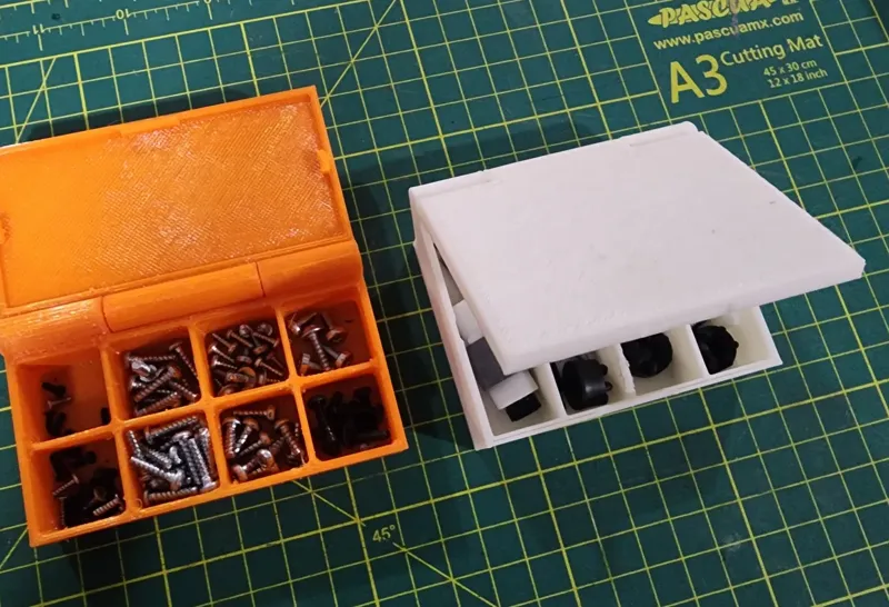 Divided Hinged Box 