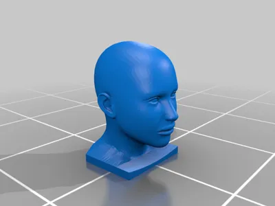 Model Head