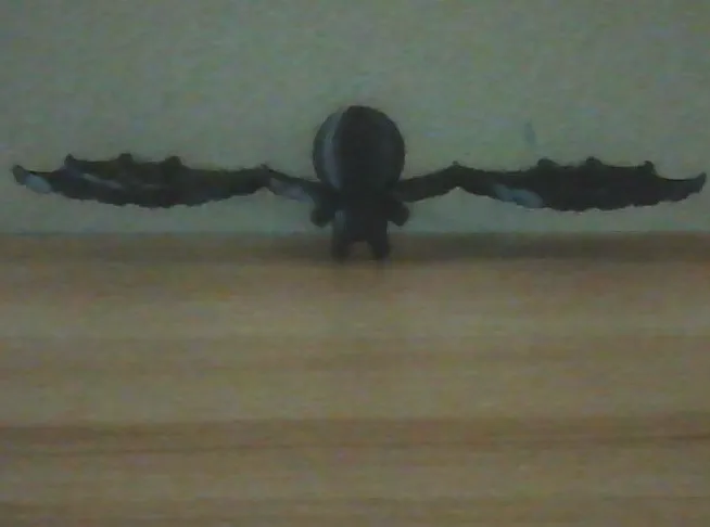 Flying human
