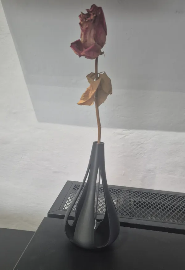 https://makerworld.bblmw.com/makerworld/model/DSM00000000483532/design/2024-06-03_e4a8819965419.jpg