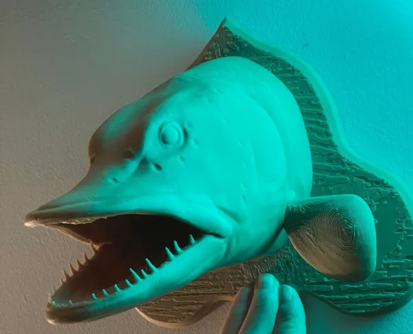 https://makerworld.bblmw.com/makerworld/model/DSM00000000484705/design/2024-06-04_2cd31f20e2d82.jpeg