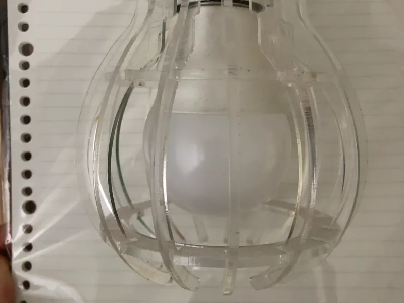 Lightbulb Light