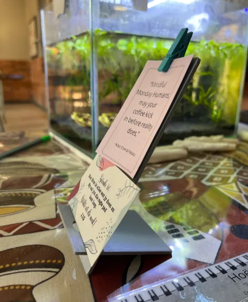 Card Holder/Displayer 