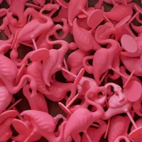 Flamant rose à patte unique — photo 1