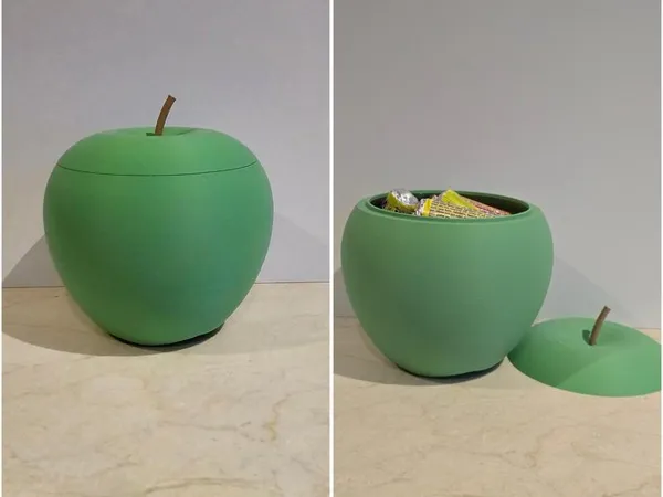 https://makerworld.bblmw.com/makerworld/model/DSM00000000487200/design/2024-06-07_e700cf8bd2e8d8.jpg