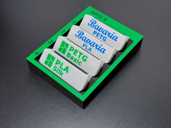 https://makerworld.bblmw.com/makerworld/model/DSM00000000487501/design/2024-06-07_f7573c40a23d1.jpeg