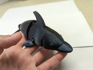 Articulated dolphin