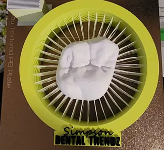 Tooth String Art