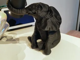 African Elephant