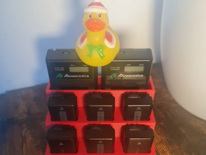 Sony Camera Battery And Charger Organiser