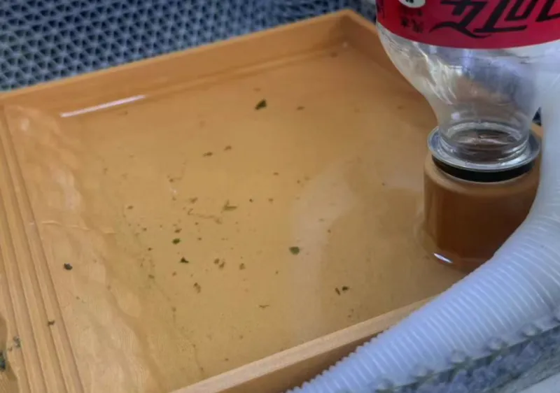 乌龟洗澡喝水盆