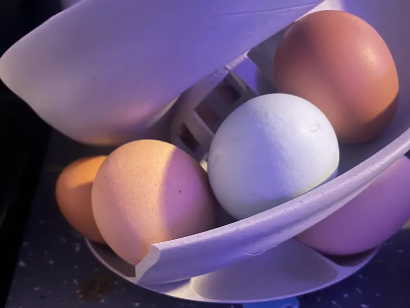egg slide